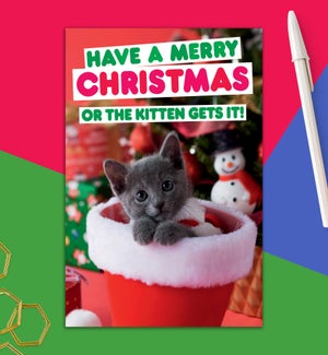 XM/Or The Kitten Gets It